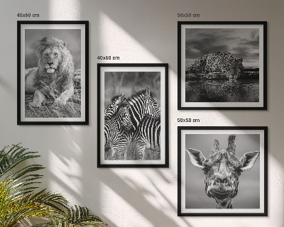 Compoziție de tablouri pentru perete Animale sălbatice Leu Jaguar Girafă Zebre