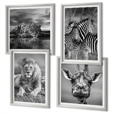 Compoziție de tablouri pentru perete Animale sălbatice Leu Jaguar Girafă Zebre