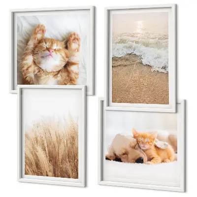 Set de tablouri gata de agățat cu animale drăguțe pisici și câini pe plajă