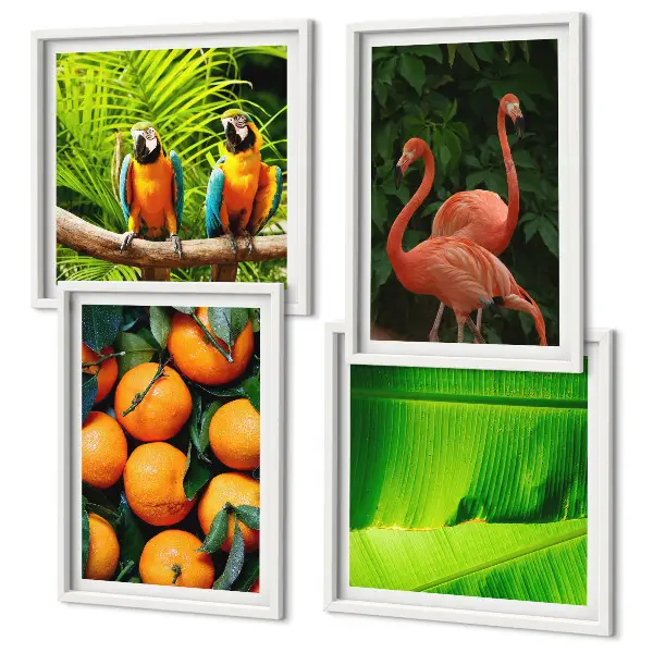 Set de tablouri gata de agățat cu accente fructate ale tropicelor