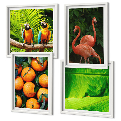 Set tablouri gata de agățat Accente fructate ale tropicelor
