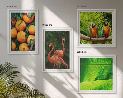 Set de tablouri gata de agățat cu accente fructate ale tropicelor