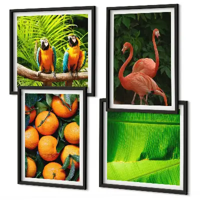 Set de tablouri gata de agățat cu accente fructate ale tropicelor