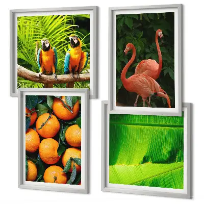 Set de tablouri gata de agățat cu accente fructate ale tropicelor