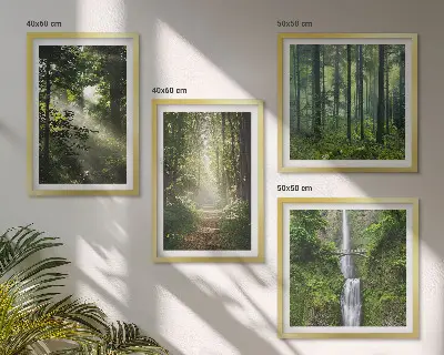 Compoziție de tablouri pentru perete cu raze de lumină în pădurea verde