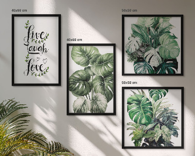 Set tablouri gata de agățat Plantele cu frunze trăiesc, râd, iubesc