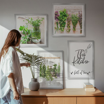 Set tablouri gata de agățat Plante aromatice pentru uscarea în bucătărie