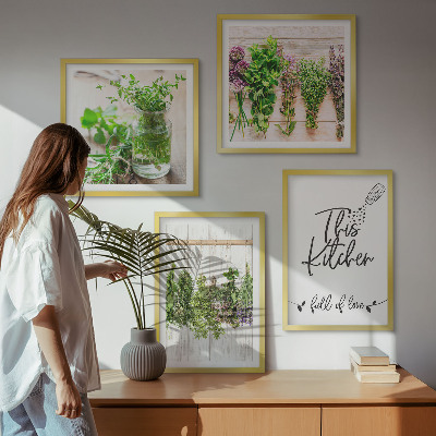 Set tablouri gata de agățat Plante aromatice pentru uscarea în bucătărie
