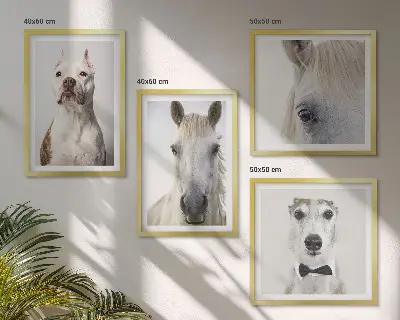 Set tablouri cu portrete elegante de câini și cai gata de agățat