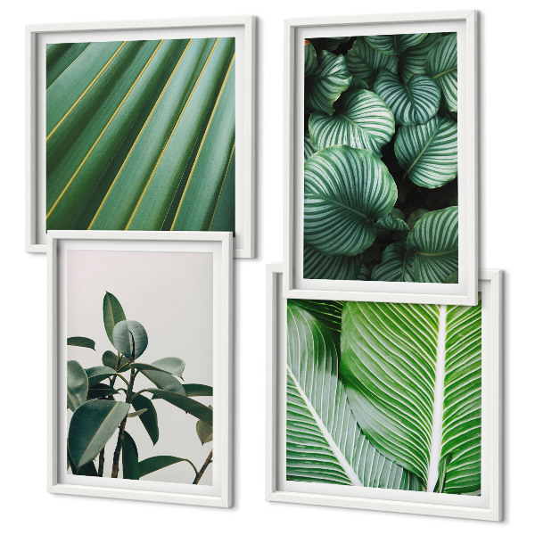Compoziție de tablouri pentru perete Frunze tropicale în verde