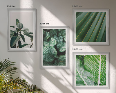 Compoziție de tablouri pentru perete Frunze tropicale în verde