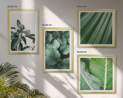 Compoziție de tablouri pentru perete Frunze tropicale în verde