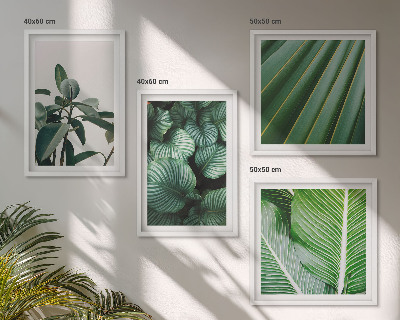 Compoziție de tablouri pentru perete Frunze tropicale în verde