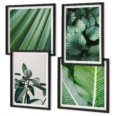 Compoziție de tablouri pentru perete Frunze tropicale în verde