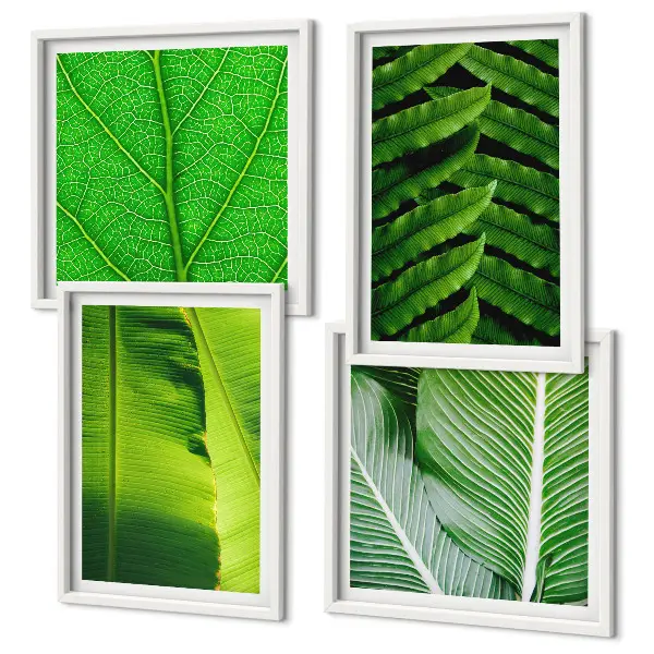Set tablouri gata de agățat cu prim-plan de frunze tropicale