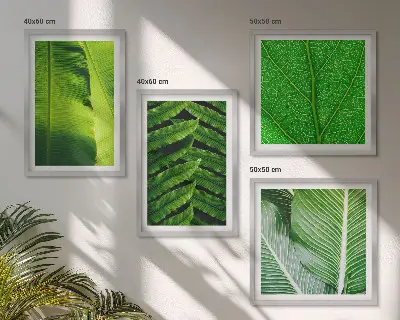 Set tablouri gata de agățat cu prim-plan de frunze tropicale