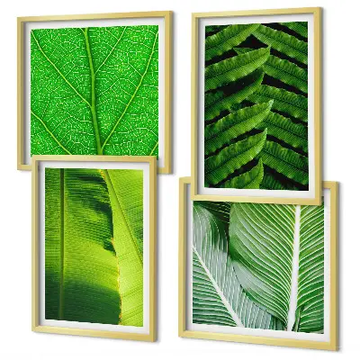 Set tablouri gata de agățat cu prim-plan de frunze tropicale