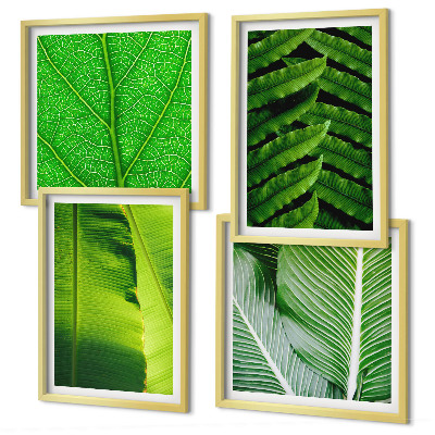 Set tablouri gata de agățat Prim-plan al frunzelor tropicale
