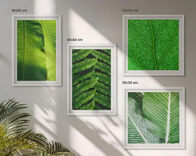Set tablouri gata de agățat cu prim-plan de frunze tropicale