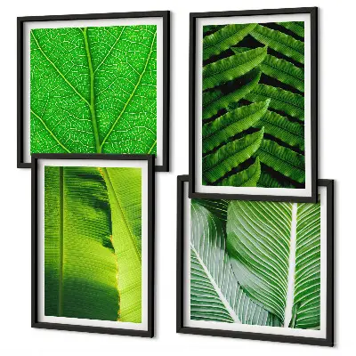 Set tablouri gata de agățat cu prim-plan de frunze tropicale