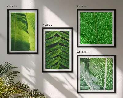 Set tablouri gata de agățat cu prim-plan de frunze tropicale