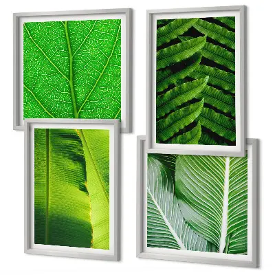 Set tablouri gata de agățat cu prim-plan de frunze tropicale