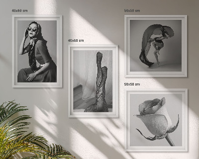 Compoziție de tablouri pentru perete Portrete elegante ale unor femei elegante