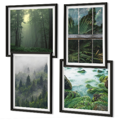 Compoziție de tablouri pentru perete Plante de seră de râu cu ceață de pădure