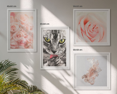 Set tablouri gata de agățat Trandafiri de pisică gri abstract