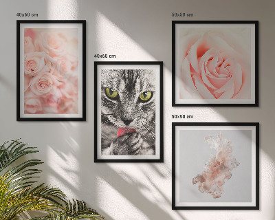 Set tablouri gata de agățat Trandafiri de pisică gri abstract