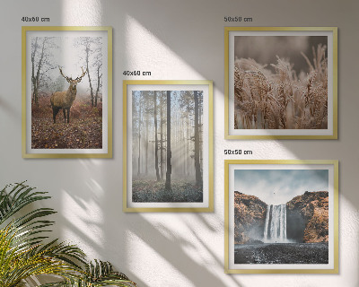 Compoziție de tablouri pentru perete Peisaje forestiere cu natură sălbatică