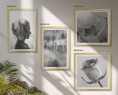 Compoziție de tablouri pentru perete Portret de femeie în ceață de pădure