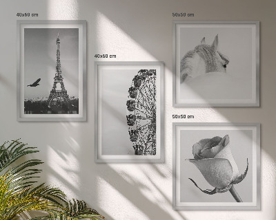 Set tablouri gata de agățat Roată Ferris Turnul Eiffel Trandafir Cal Alb-negru