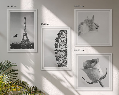 Set tablouri gata de agățat Roată Ferris Turnul Eiffel Trandafir Cal Alb-negru