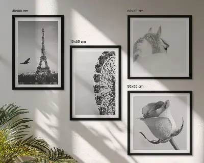Set de tablouri gata de agățat cu roată Ferris, Turnul Eiffel, trandafir și cal, alb-negru