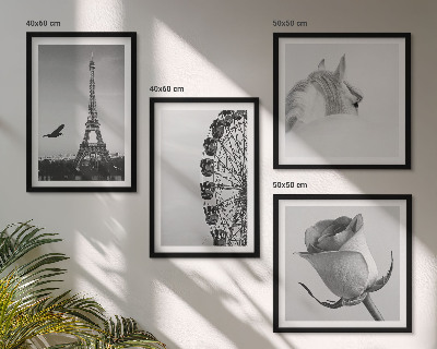 Set tablouri gata de agățat Roată Ferris Turnul Eiffel Trandafir Cal Alb-negru