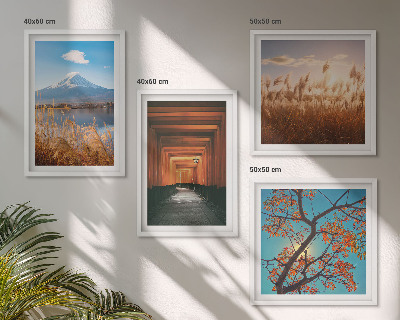 Set tablouri gata de agățat Peisaje naturale japoneze