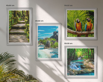 Set tablouri gata de agățat Cascadă de papagali din pădurea tropicală