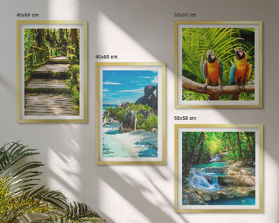 Set tablouri gata de agățat Cascadă de papagali din pădurea tropicală