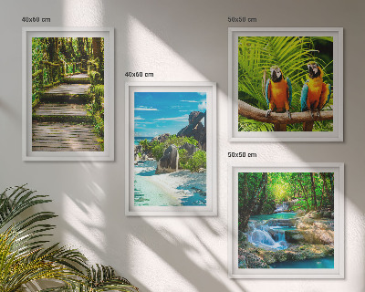 Set tablouri gata de agățat Cascadă de papagali din pădurea tropicală