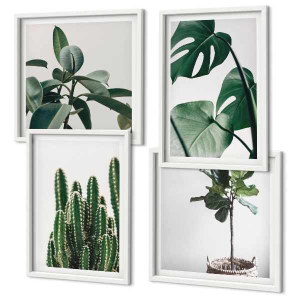 Compoziție de tablouri pentru perete Estetica plantelor tropicale