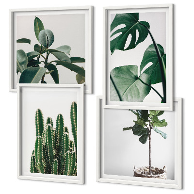 Compoziție de tablouri pentru perete Estetica plantelor tropicale