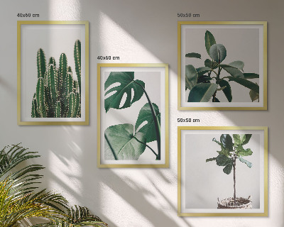 Compoziție de tablouri pentru perete Estetica plantelor tropicale