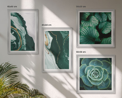 Set tablouri gata de agățat Modele abstracte de frunze suculente