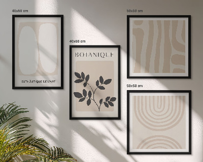 Compoziție de tablouri pentru perete Postere cu plante delicate în stil boho