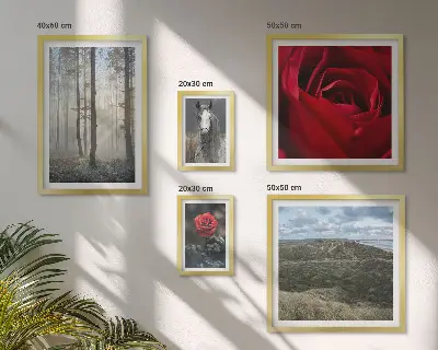 Set tablouri decorative de perete cu motive florale naturale în diferite stiluri