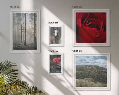 Decorațiune de perete set tablouri Flori naturale în diferite stiluri
