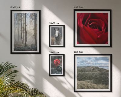 Decorațiune de perete set tablouri Flori naturale în diferite stiluri