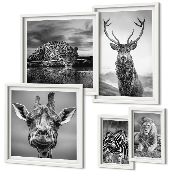Decorațiune de perete set tablouri Animale alb-negru din natură