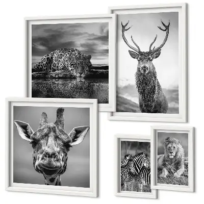 Set de tablouri decorative pentru perete cu animale în natură alb-negru